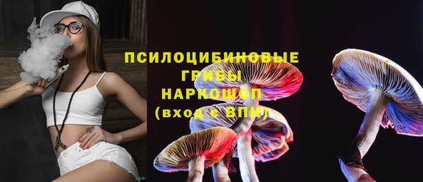 метадон Богданович