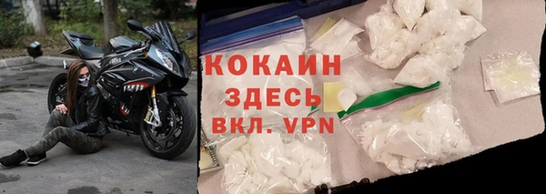 метадон Богданович