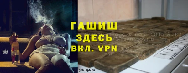 метадон Богданович