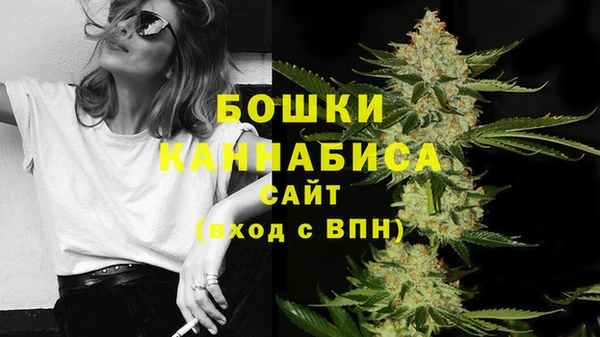 прущий лед Богородицк