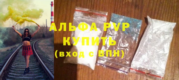 метадон Богданович